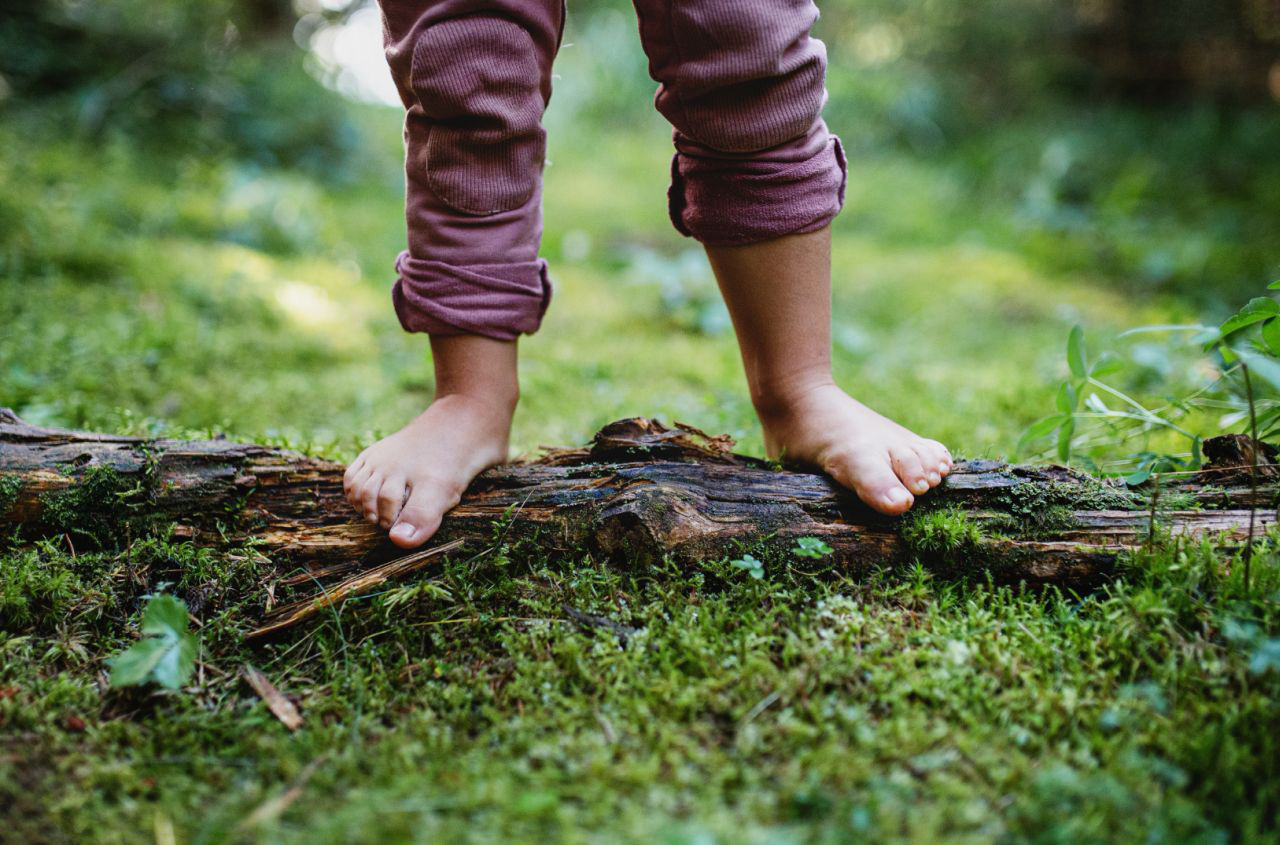Ein Kind steht auf einem Liegenden Baum